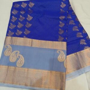 Gap border kanchi pattu saree