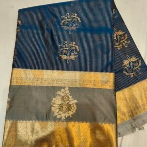 Gap border kanchi pattu saree